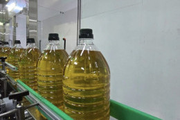 The Best Tool for an Exporter: Head of the Kostanay Oil Plant on the Support of the Export Credit Agency of Kazakhstan