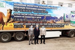 Kazakhstan's camel milk is growing in popularity in China