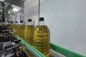 Экспорттаушыларға арналған ең тиімді құрал: Қостанайлық май зауытының басшысы Қазақстанның Экспорттық-кредиттік агенттігінің қолдауы туралы