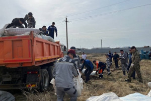 Партнеры Экспортно-кредитного агентства пришли на помощь казахстанцам в борьбе с паводками