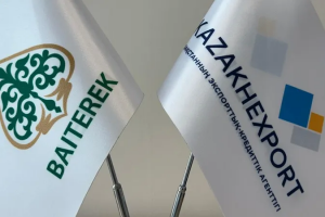 Ключевые достижения и планы на будущее: KazakhExport завершает 2024 год на рекордной отметке