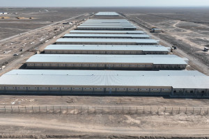 Қазақстандағы құс етін өндіру және өңдеу бойынша ірі зауыттың бірі жұмысын бастады