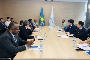 Ethiopian business is interested in developing economic ties with Kazakhstan