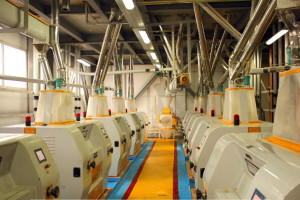 Сапалы ұн мен макарон өнімдерін қалай дайындайды? | Made in KZ