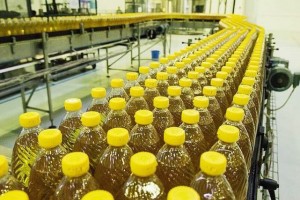 Казахстанская компания поставит растительное масло на 10 млн долларов в Китай