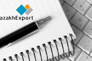 KazakhExport EIC JSC clarifies state support measures