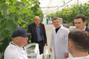 Туркестанские овощи и фрукты будут экспортировать в Татарстан