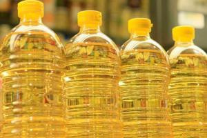 Казахстанское растительное масло пошло на экспорт в Узбекистан