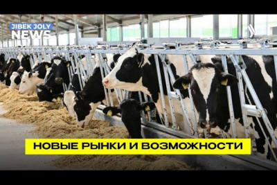 Отечественная продукция завоёвывает рынки с помощью Экспортно-кредитного агентства Казахстана